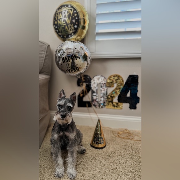 Meet your Posher, Minette - Picture 6 of 15